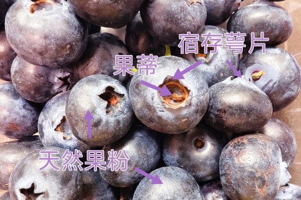 正规实盘股票配资平台 这种水果价格腰斩，却被发现“肚脐眼”长霉菌，还能吃吗？