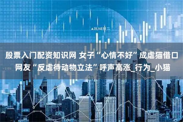 股票入门配资知识网 女子“心情不好”成虐猫借口 网友“反虐待动物立法”呼声高涨_行为_小猫