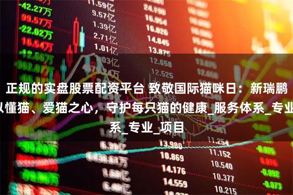 正规的实盘股票配资平台 致敬国际猫咪日：新瑞鹏集团以懂猫、爱猫之心，守护每只猫的健康_服务体系_专业_项目
