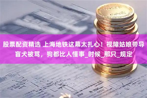 股票配资精选 上海地铁这幕太扎心！视障姑娘带导盲犬被骂，狗都比人懂事_时候_那只_规定