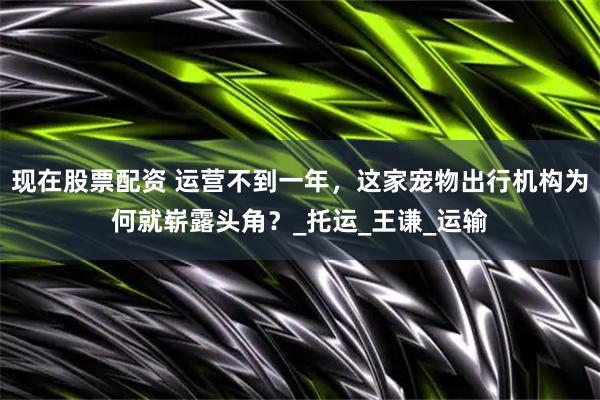 现在股票配资 运营不到一年，这家宠物出行机构为何就崭露头角？_托运_王谦_运输